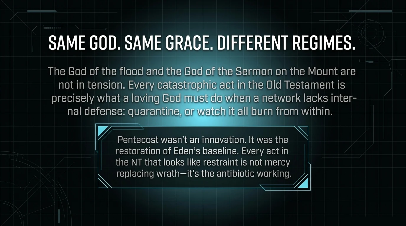 Divine System Architecture visualization — structural overview (page 13)