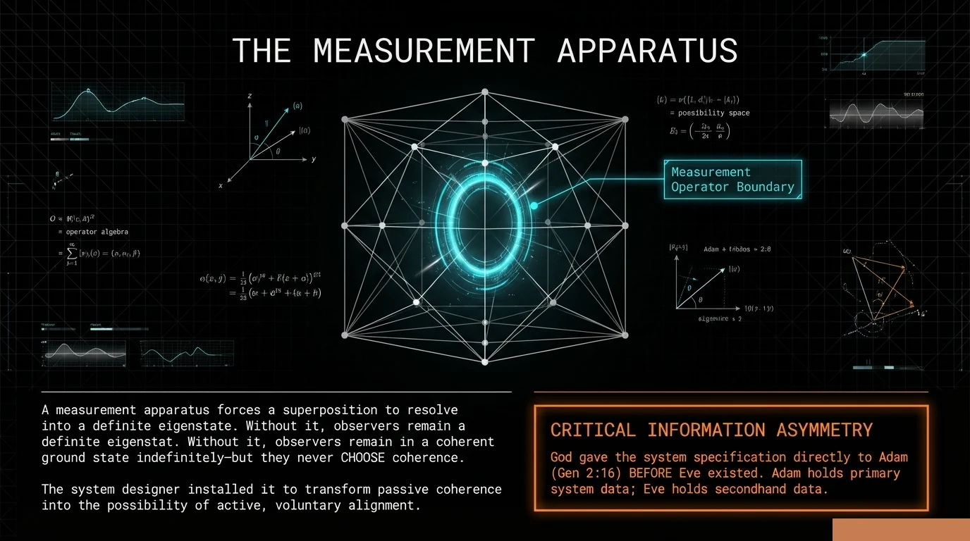 The Measurement Apparatus — the Tree as quantum boundary operator